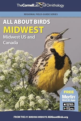All About Birds: Midwestern USA &amp; Central Canada