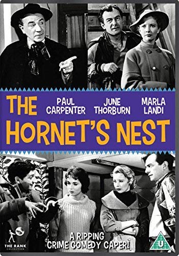 The Hornets Nest [DVD]