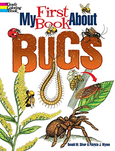 My First Book About Bugs (Dover Coloring Books)