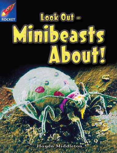 Look Out - Minibeasts About!: White Level Non-fiction