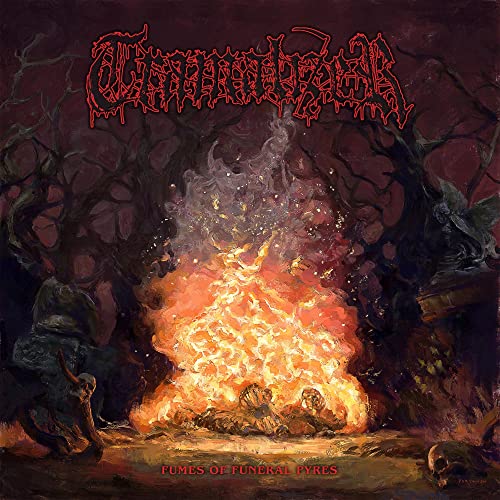 Tramalizer - Fumes Of Funeral Pyres (limited Black Vinyl) [VINYL]