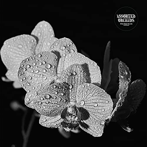 Assorted Orchids - Assorted Orchids [VINYL]