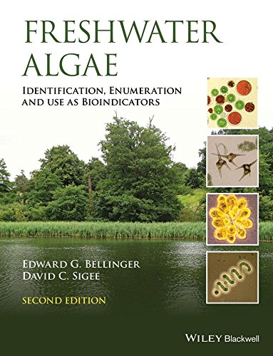 Freshwater Algae: Identification