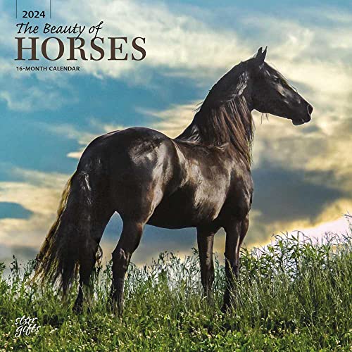 The Beauty of Horses | 2024 12 x 24 Inch Monthly Square Wall Calendar | Sticker Sheet | StarGifts | Animals Equestrian