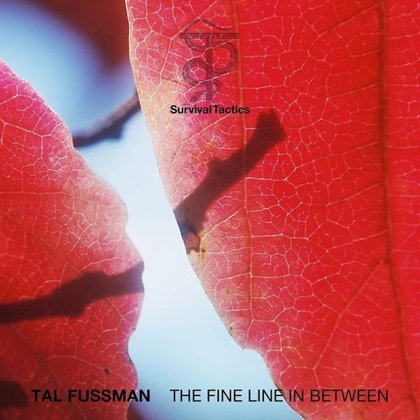 Various - The Fine Line In Between [VINYL]