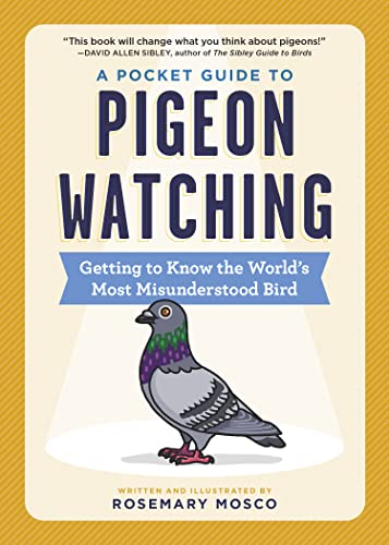 A Pocket Guide to Pigeon Watching: Getting to Know the Worlds Most Misunderstood Bird