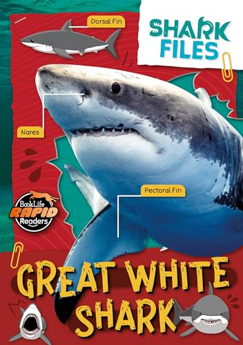 Great White Shark