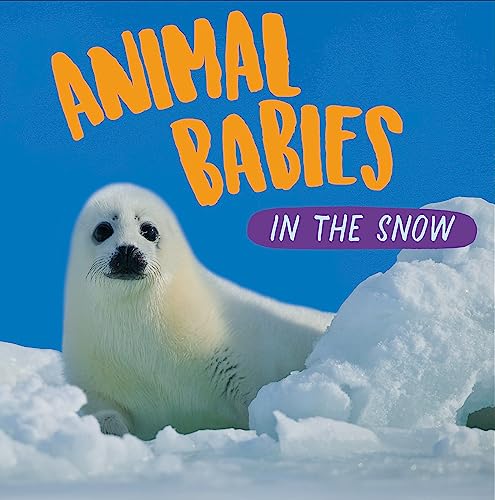 Animal Babies: Snow Babies
