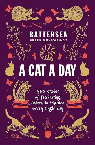 Battersea Dogs and Cats Home - A Cat a Day