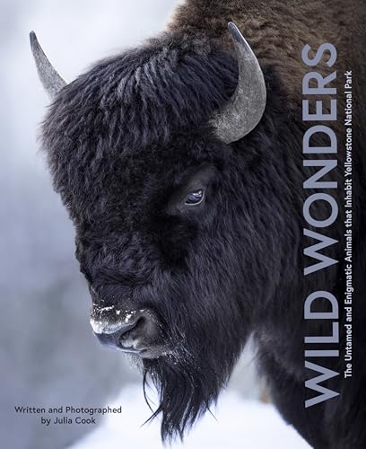 Wild Wonders : The Untamed and Enigmatic Animals that Inhabit Yellowstone National Park