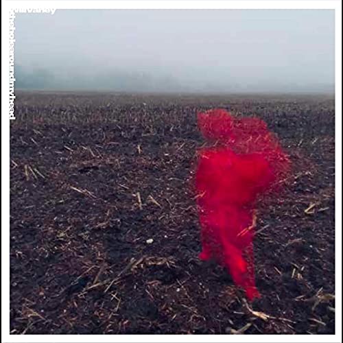 Various - THE HOLE AROUND MY HEAD [CD]