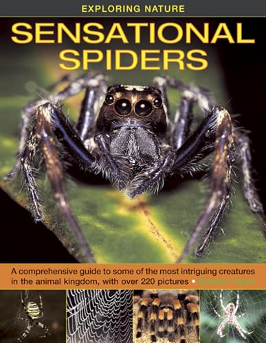 Exploring Nature : Sensational Spiders: A Comprehensive Guide to Some of the Most Intriguing Creatures in the Animal Kingdom, with Over 220 Pictures