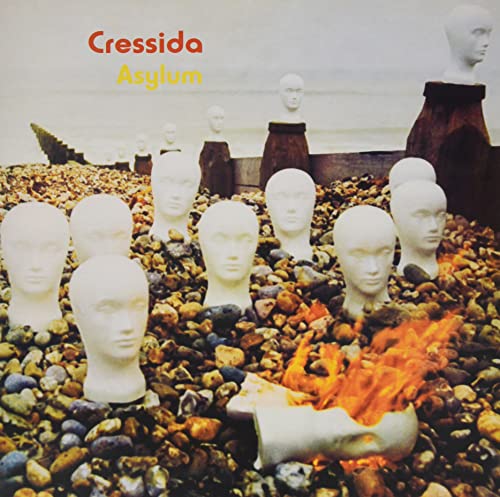 Various - Asylum [VINYL]