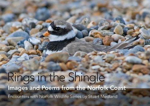 Rings in the Shingle: Images and Poems from the Norfolk Coast (Encounters with Norfolk Wildlife): 1 (Words and Images of Natural Norfolk)