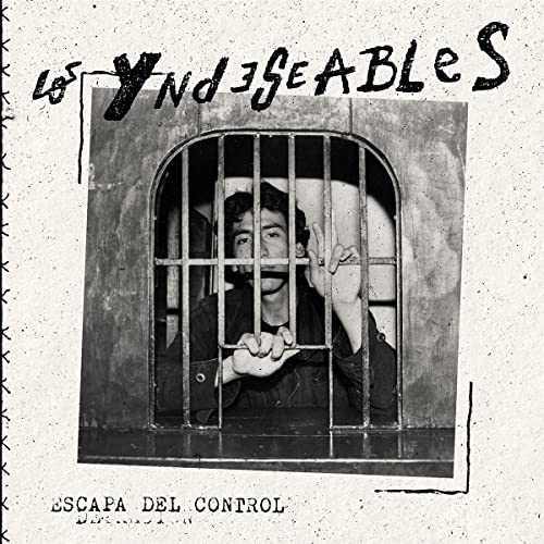 Los Yndeseables - El Perfecto Ruido [VINYL]