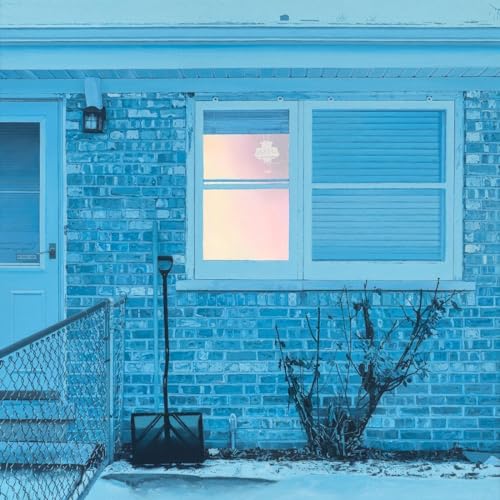 Ratboys - The Window [VINYL]