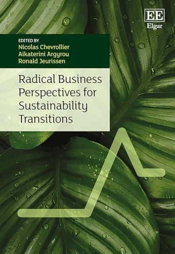 Radical Business Perspectives for Sustainability Transitions