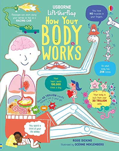 Lift-the-Flap How Your Body Works: 1 (How It Works)