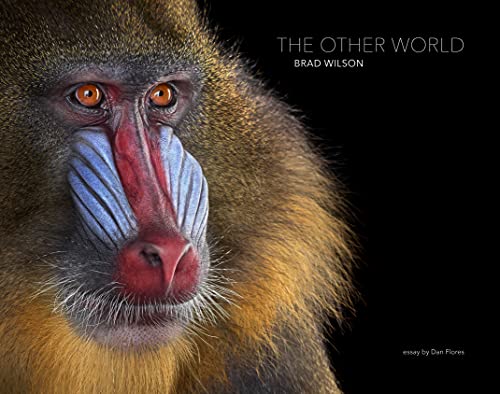 The Other World: Animal Portraits