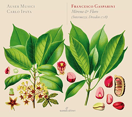 Ipata/auser Musici/ - Francesco Gasparini - Mirena e Floro (Intermezzi, Dresden 1718) [CD]
