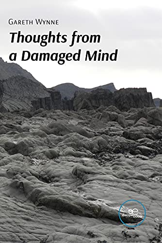 Thoughts from a Damaged Mind (DRAW SPACES)