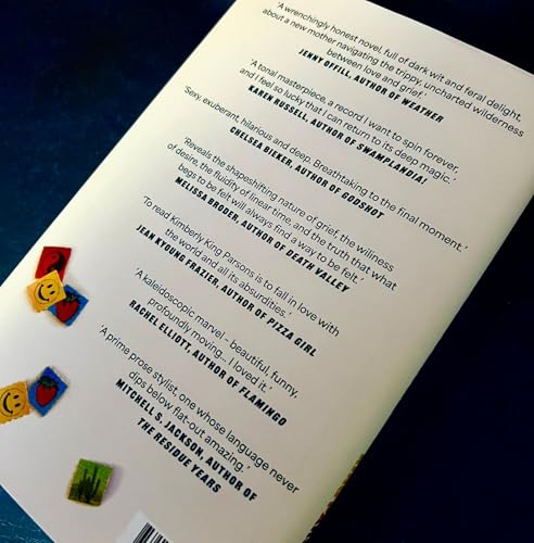 We Were the Universe : 'Full of dark wit and feral delight' Jenny Offill