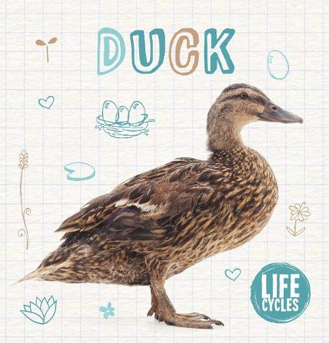 Duck (Life Cycles)