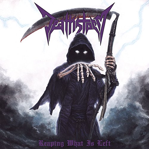 Deathstorm - Reaping What Is Left [CD]