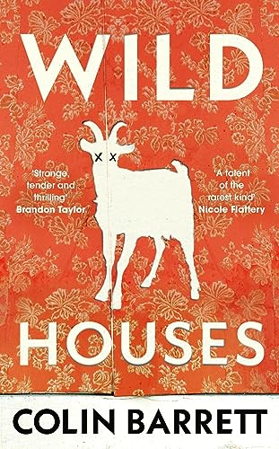 Wild Houses: ‘A book to live inside’ Sally Rooney