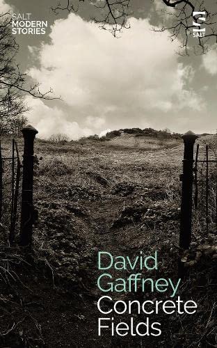 Concrete Fields (Salt Modern Stories)