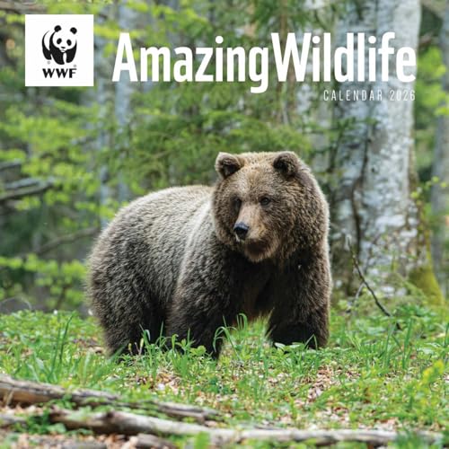 Wwf Amazing Wildlife Square Wall Calenda