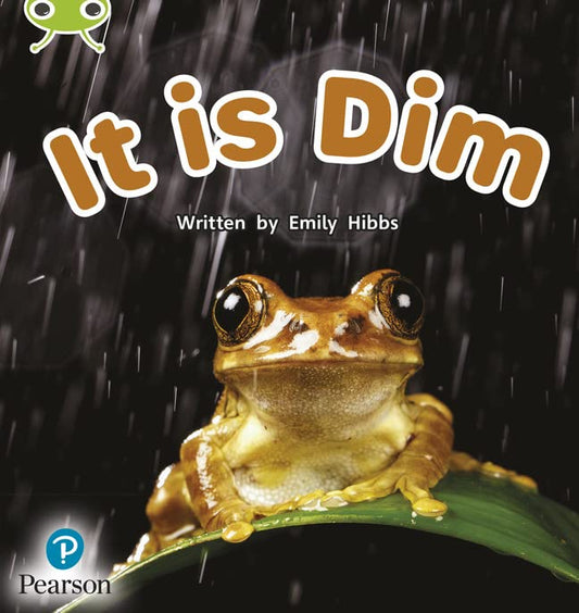 Bug Club Phonics Non-Fiction Early Years and Reception Phase 2 Unit 2 It is Dim (Phonics Bug)