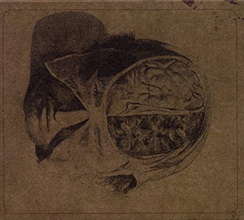 Farsot - Insects [CD]