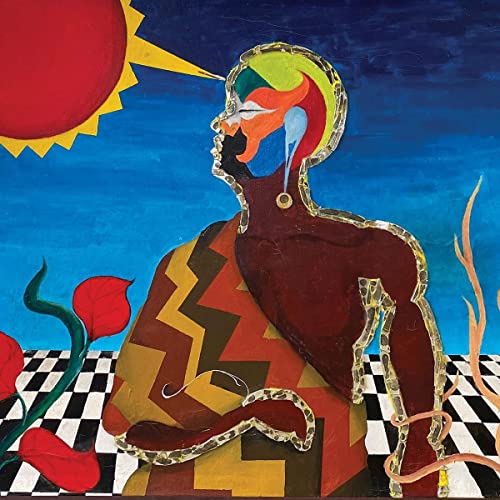 Wayne Davis - WAYNE DAVIS [VINYL]