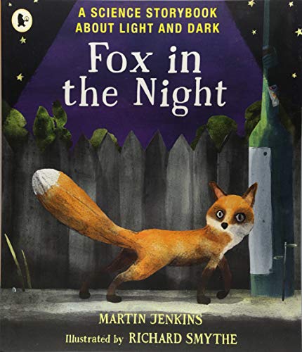 Fox in the Night: A Science Storybook About Light and Dark (Science Storybooks)