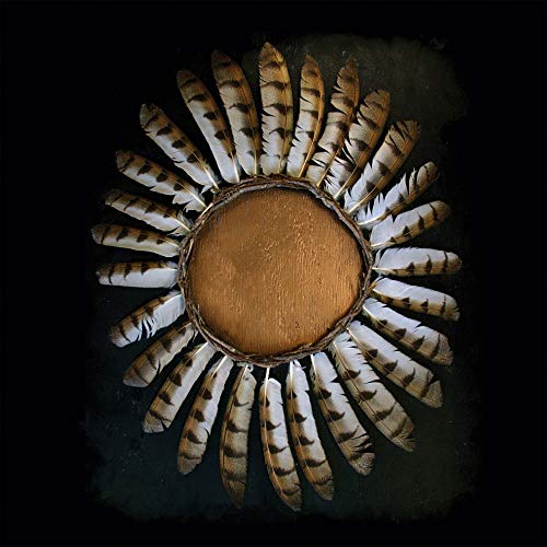 Fauna - Avifauna [CD]