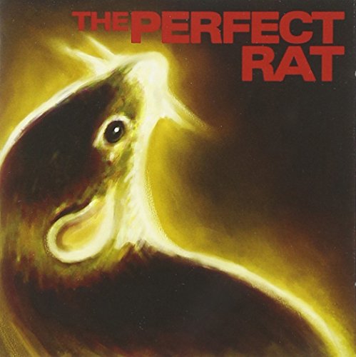 CD cover: close-up painting of a rat’s head in golden hues.