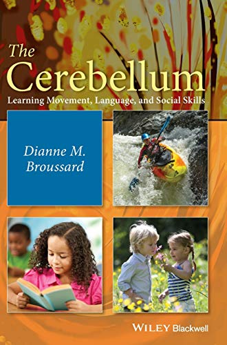 The Cerebellum: Learning Movement