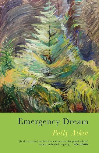 Book cover: abstract, swirling green and blue painting with title "Emergency Dream".