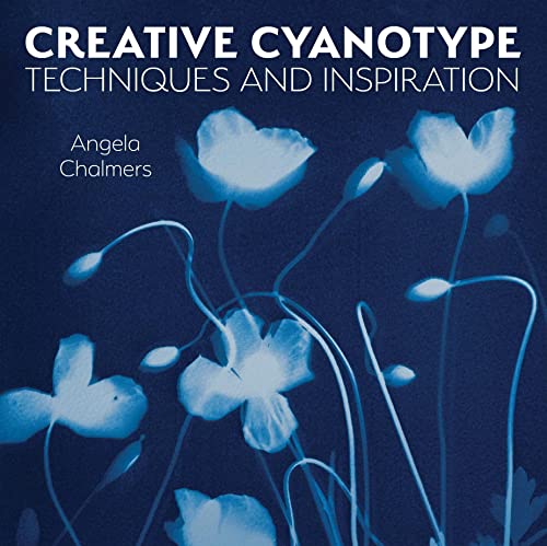 Book cover with cyan blue background, featuring artistic images and photography techniques.