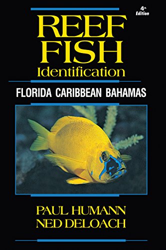 Reef Fish Identification: Florida Caribbean Bahamas: 1 (Reef Set)
