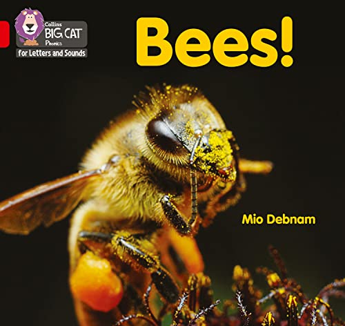 Bees! : Band 02b/Red B