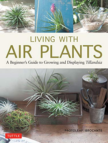 Living with Air Plants: A Beginner's Guide to Growing and Displaying Tillandsia