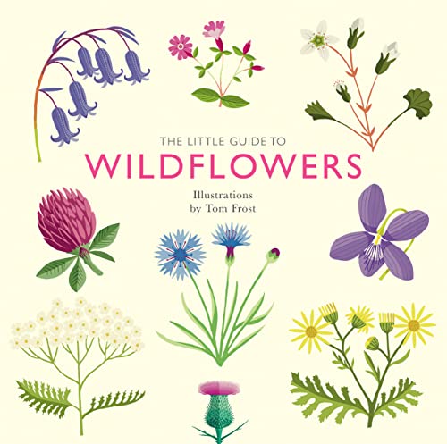 The Little Guide to Wildflowers (Little Guides)