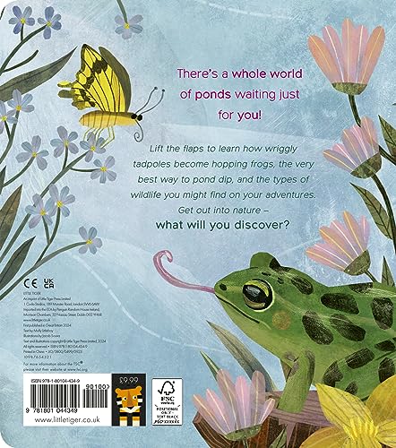 Back cover of One Little Tadpole featuring a green frog, butterfly, and pond flowers.