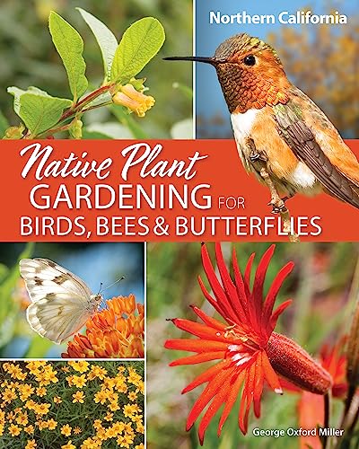 Native Plant Gardening for Birds