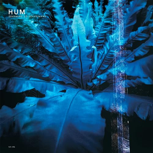 Hum - DOWNWARDS IS HEAVENWARD (REISSUE) [VINYL]