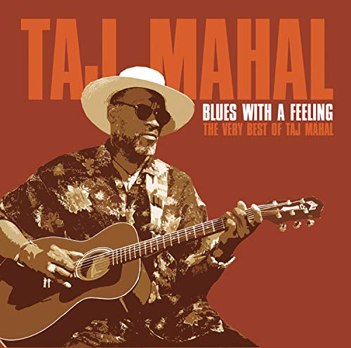 Taj Mahal album cover featuring a portrait of the musician with guitar.
