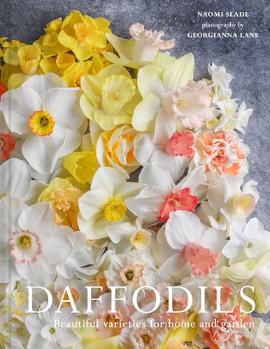 Daffodils : Beautiful Varieties for Home and Garden