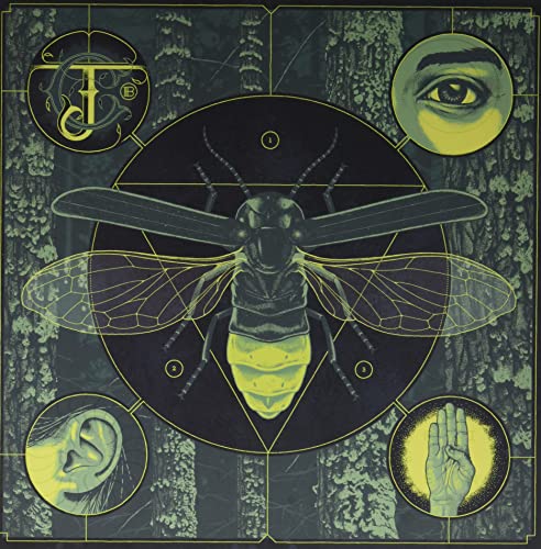 Jerry Cantrell album cover: insect, eye, ear, and hand imagery.
